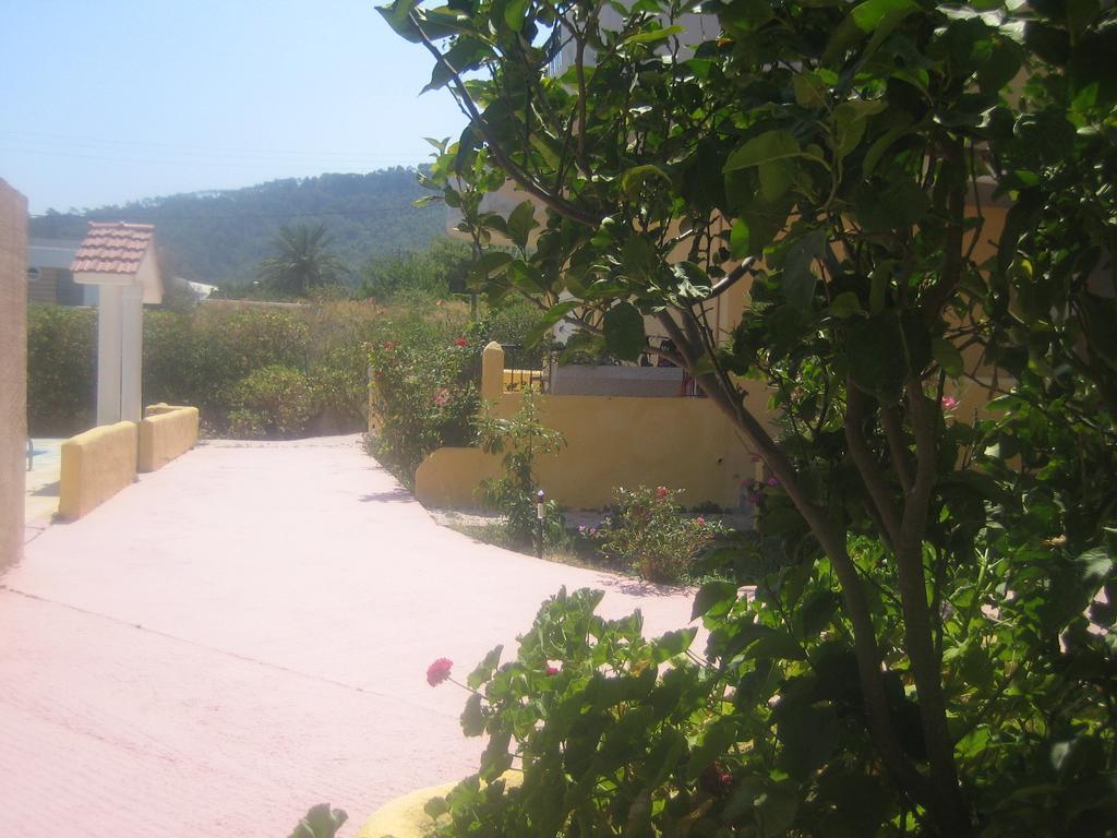 Sofia Aparthotel Ialysos (Rhodes)