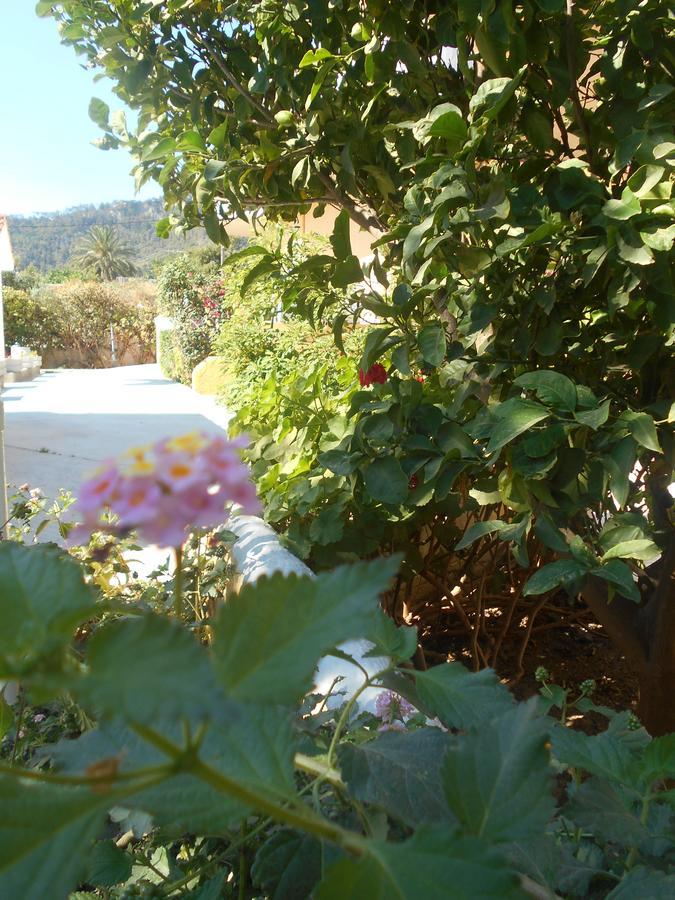 Aparthotel Sofia Ialysos (Rhodes)